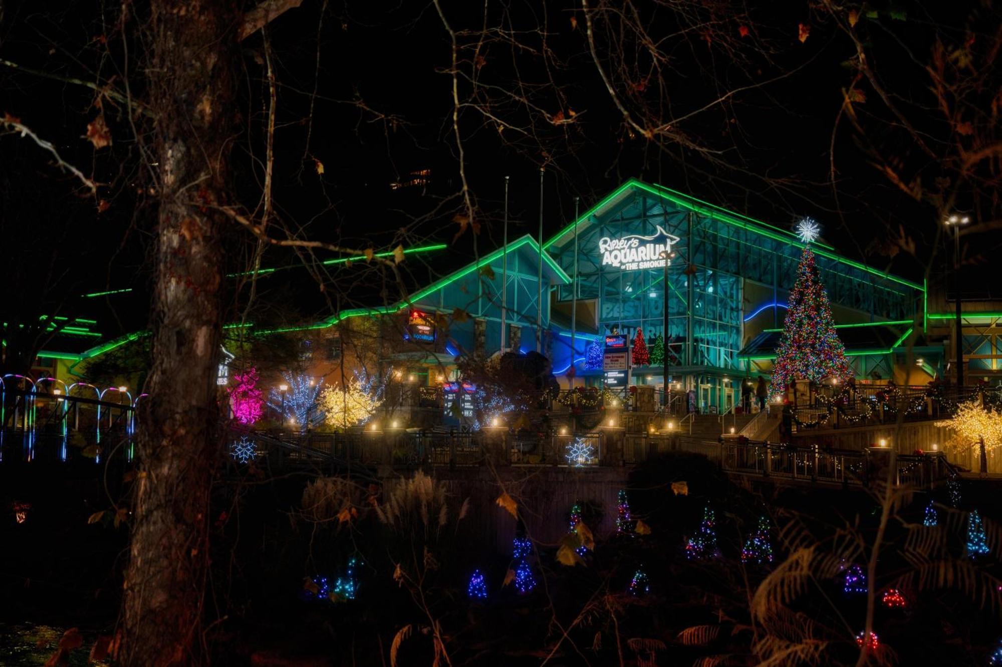 Gatlinburg Chateau Condo 302 エクステリア 写真